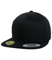 Organic cotton snapback (6089OC)